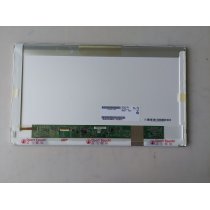 AU Optronics 17.3