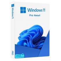 Microsoft Windows 11 Professional 